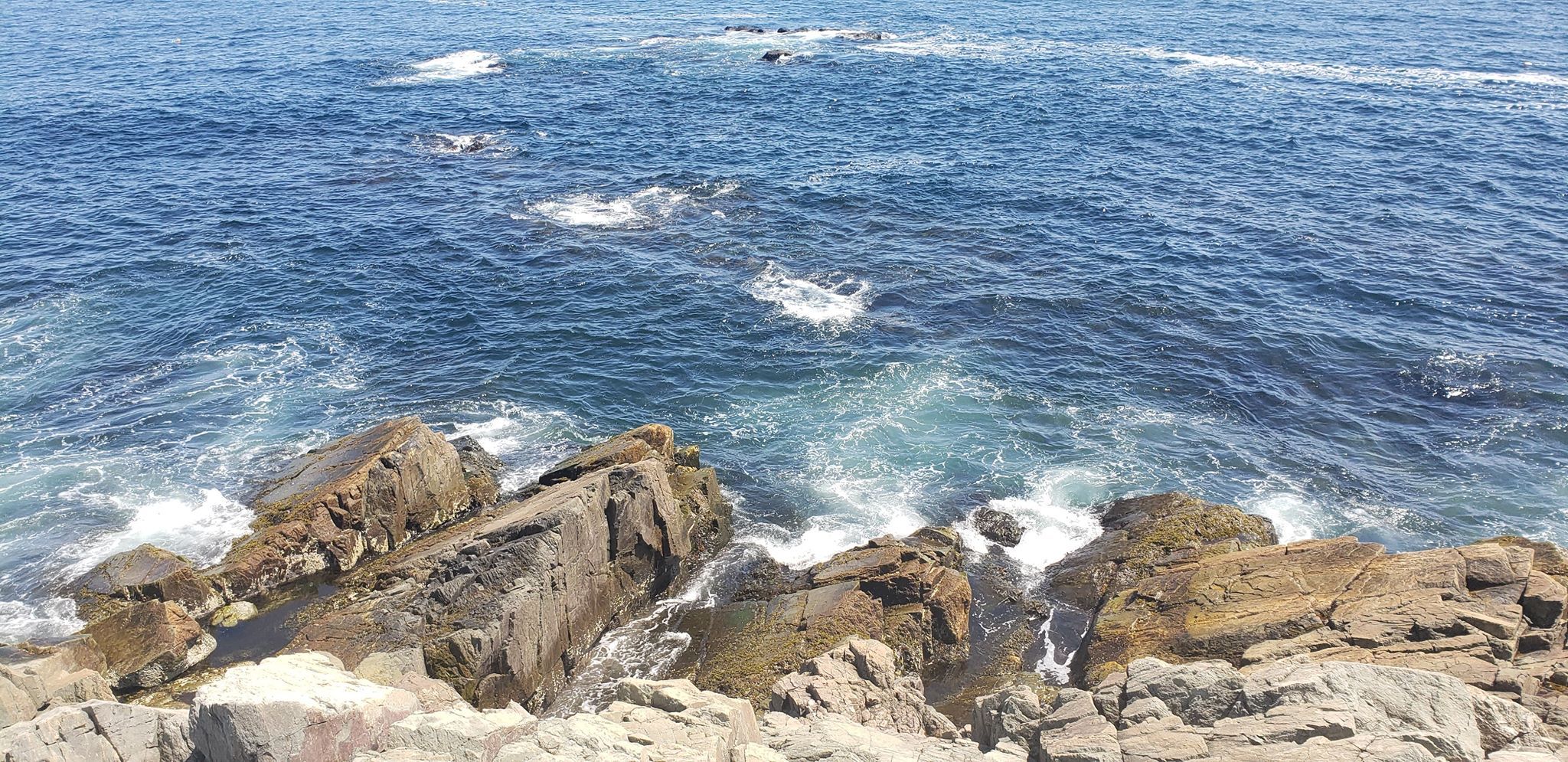 Louisbourg- bonjour my friend