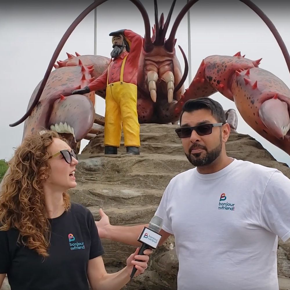 shediac - bonjour my friend